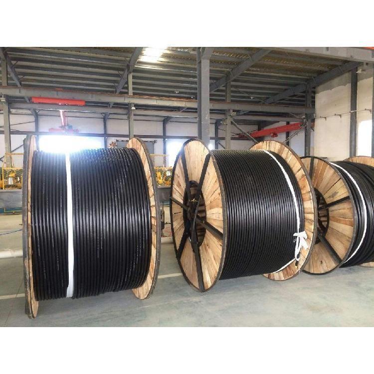 國標(biāo)JKLGYJ-150/25鋼芯架空絕緣線 配電線路的關(guān)鍵組件